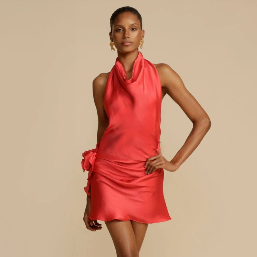 Arcina Ori Rosa Dress (tags on, never worn)